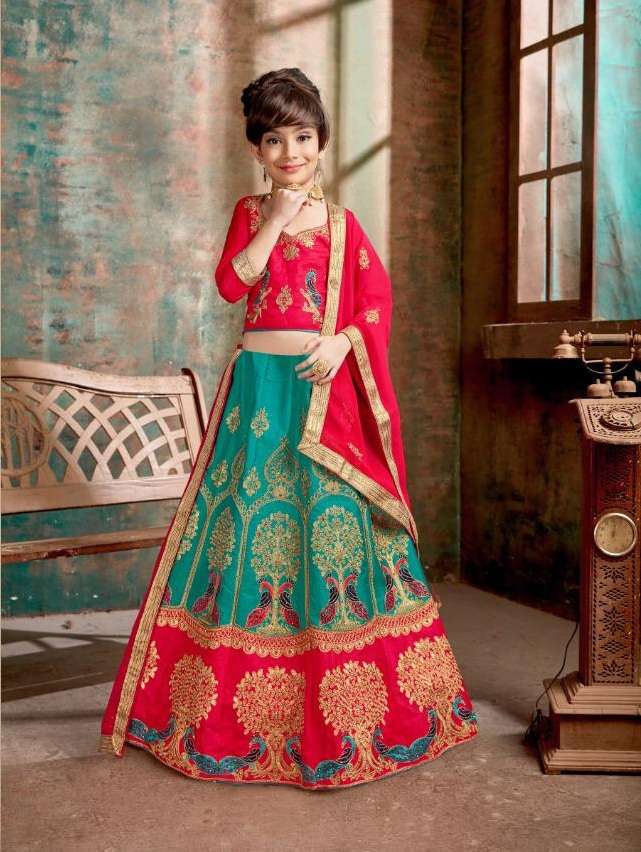 saniya choli photo